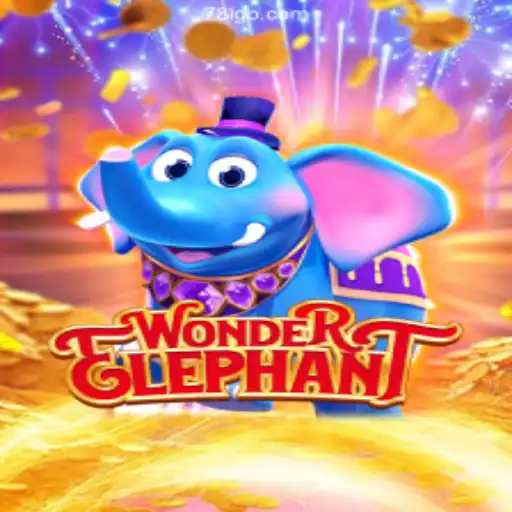 Discover the Intriguing World of WonderElephant: Brazil's Premier Casino Game